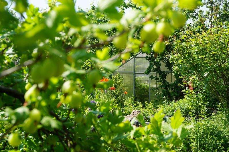 Grünraum Gartenpflege GmbH